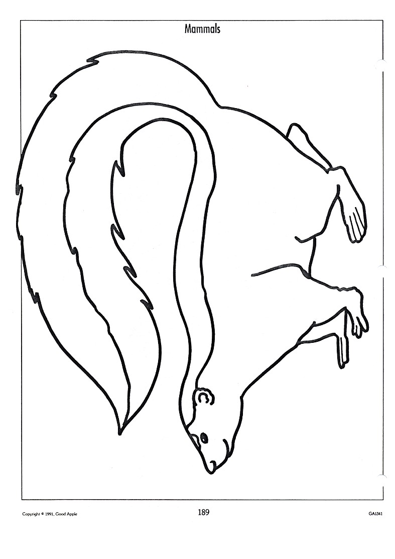 Kolorowanka Ssaki - Kreatywna Edukacja dla Dzieci kolorowanka do druku